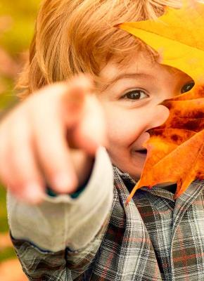 Get the Most Out of Your Fall
